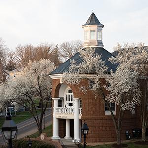 Tree with buds in front of Gaines Residence Hall