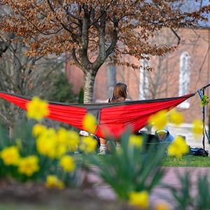 Person in hammock on campus